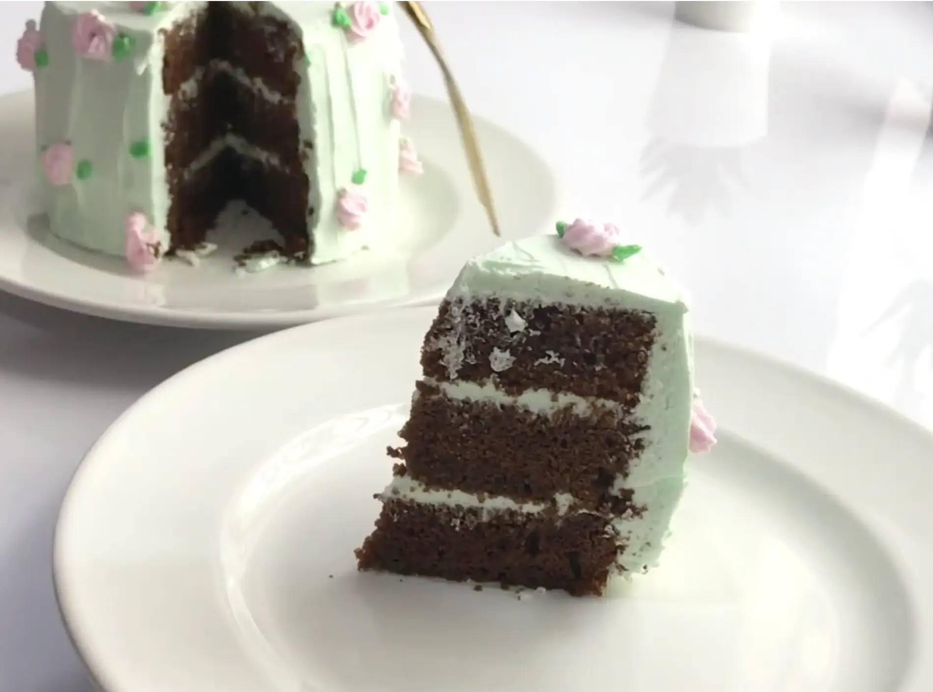 Choc-Mint Ripple Cake Recipe – Easy No-Bake Mint Chocolate Dessert